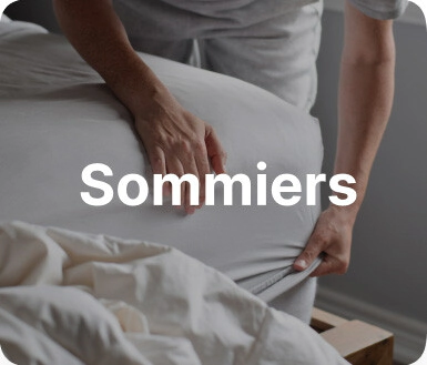 banner 2
